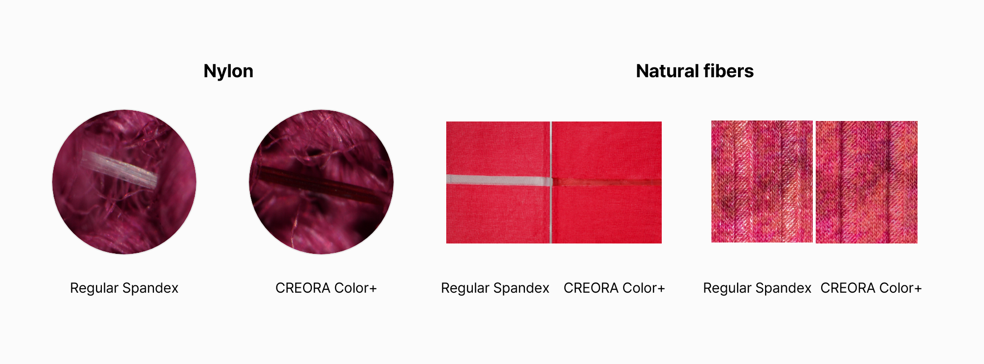 CREORA Color+ 